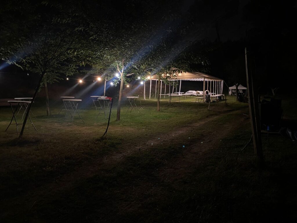 Carpes il·luminades